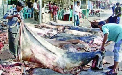 কোরবানি পশুর চামড়ার দাম নির্ধারণ