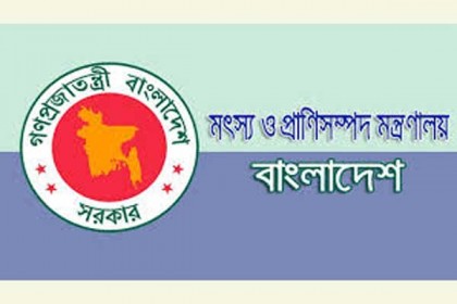 পশুর হাটে মৎস্য ও প্রাণিসম্পদ মন্ত্রণালয়ের মনিটরিং টিম 