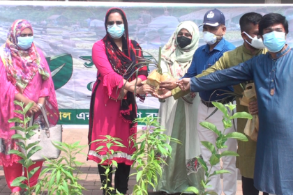 বরিশালে ফল-ফুলের চারা ও বীজ বিতরণ