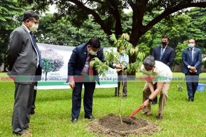 'জলবায়ু পরিবর্তন মোকাবিলায় প্রধানমন্ত্রীর নেতৃত্ব বিশ্ব স্বীকৃত'