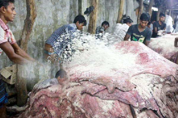 কোরবানির চামড়া সংরক্ষণে দেশে লবণের কোনও ঘাটতি নেই 