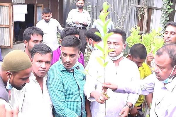 নোয়াখালীতে স্বেচ্ছাসেবক লীগের গাছের চারা বিতরণ