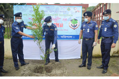 মুজিববর্ষে বরিশাল বিভাগে ১০ হাজার চারা রোপণ কর্মসূচির উদ্বোধন