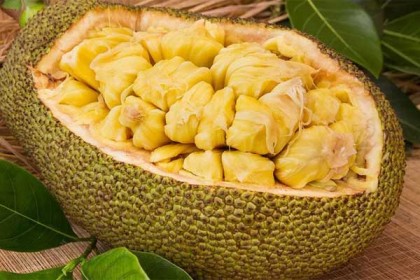 করোনা রুখে দিচ্ছে শুনে বাজার থেকে উধাও কাঁঠাল