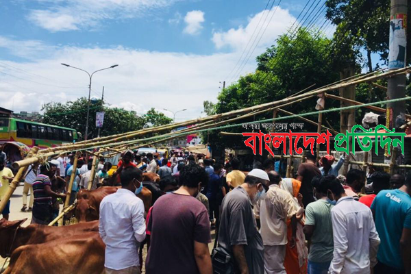 গরুর বাজার “উল্টা-পাল্টা”