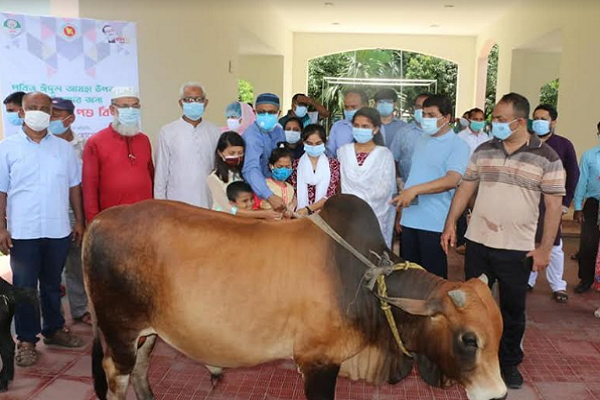 খুলনায় কোরবানির গরু-ছাগল উপহার পেয়ে আনন্দে কাঁদল এতিম শিশুরা