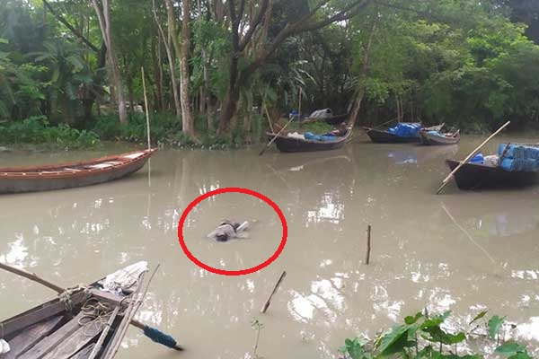 বরগুনায় খাল থেকে অজ্ঞাত ব্যক্তির মরদেহ উদ্ধার