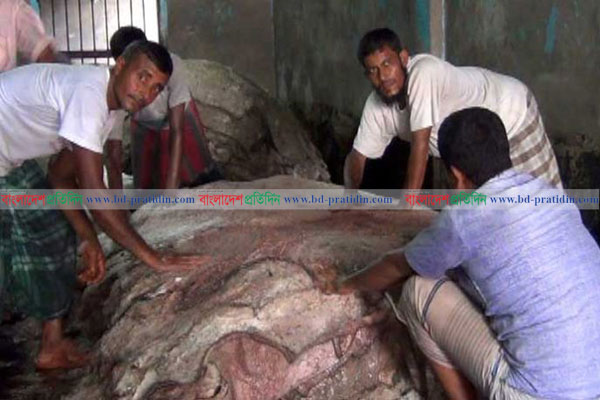 নাটোরে চামড়ার মূল্য পাচ্ছেনা বিক্রেতারা