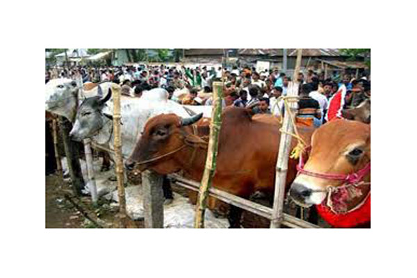 খুলনায় পশুর হাটে কমেছে রাজস্ব আয়
