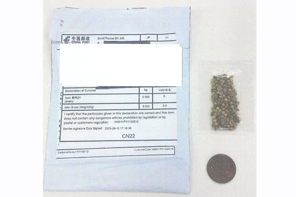 চীন থেকে যাচ্ছে রহস্যজনক পার্সেল! সতর্ক জাপান