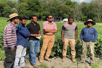 'বাংলাফ্রেশ': নিউইয়র্ক অঞ্চলে দেশি সবজির অন্যতম অবলম্বন 