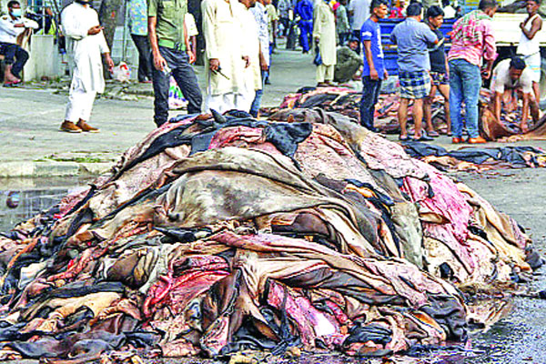 চামড়া ব্যবসায় সর্বনাশ
