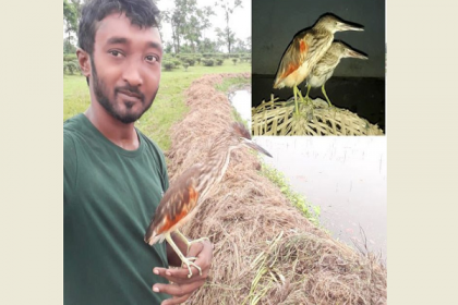 পাখি প্রেম!
