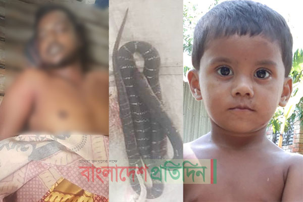 ঘুমন্ত অবস্থায় সাপের দংশন, দুই দিনে দুইজনের মৃত্যু