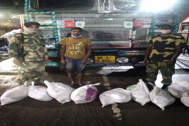 চোরাই পথে ভারতে নেয়ার সময় ১২৬ কেজি বাংলাদেশি ইলিশ জব্দ
