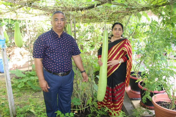 ব্রিটিশ প্রবাসীর শখের বাগানে ৫ ফুটের বাঁশ লাউ আর ১০ কেজি ওজনের পানি লাউ