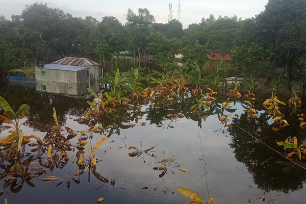 সারিয়াকান্দি পৌর এলাকায় জলাবদ্ধতা, জনদুর্ভোগ 

