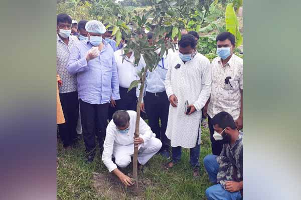 মাগুরায় বঙ্গবন্ধুর জন্মশত বার্ষিকী উপলক্ষে বৃক্ষরোপন কর্মসূচির উদ্বোধন