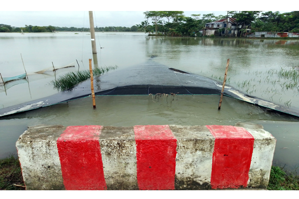 কলাপাড়ায় ১৫০০ হেক্টর জমির বীজতলা নষ্টের পথে