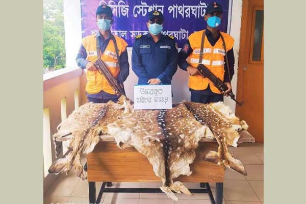 
বরগুনার পাথরঘাটা থেকে হরিণের চামড়া উদ্ধার