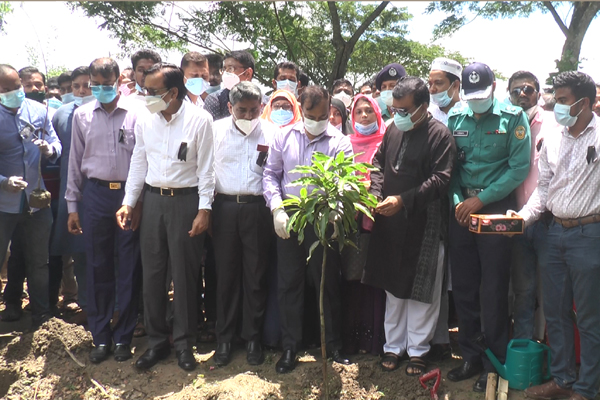 মুজিববর্ষ উপলক্ষে পানি সম্পদ মন্ত্রণালয়ের চারা রোপন কর্মসূচির উদ্বোধন