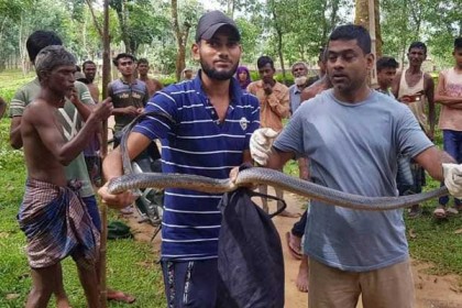  ৯৯৯-এ কল, প্রাণে বাচঁলো কোবরা সাপ
