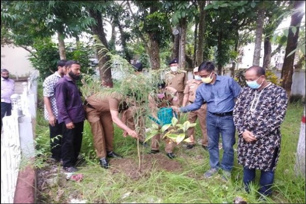 শোক দিবসে চাঁদপুর মাদকদ্রব্য নিয়ন্ত্রণ কার্যালয়ের বৃক্ষরোপণ কর্মসূচি