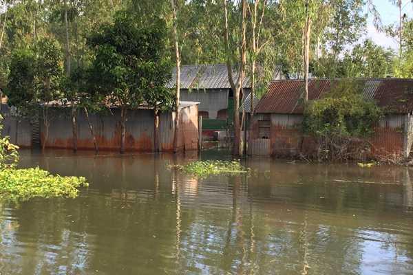 দুর্ভোগে দিশেহারা সিরাজগঞ্জের বন্যা কবলিতরা