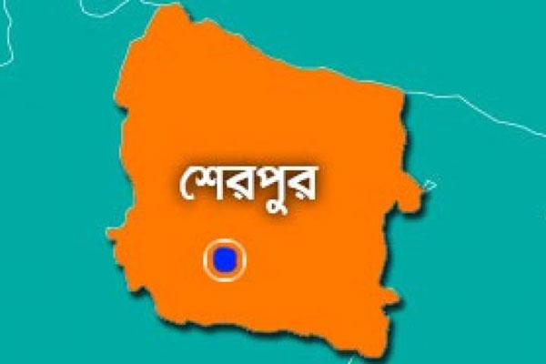 শেরপুরে বিদ্যুতায়িত হয়ে দুই ভাইয়ের মৃত্যু