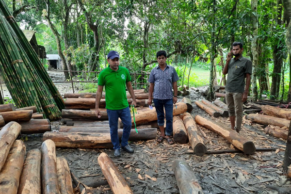 চট্টগ্রামে পাচারকালে সেগুন কাঠ জব্দ  