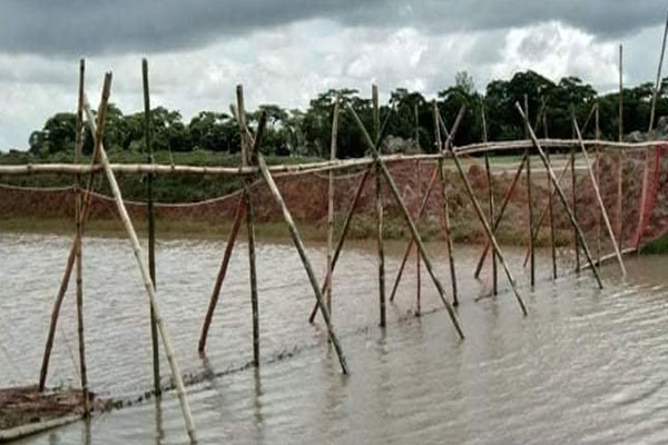 গলাচিপায় সরকারি খালে জালের বেড়া দিয়ে মাছ চাষ, আমন চাষ ব্যাহত