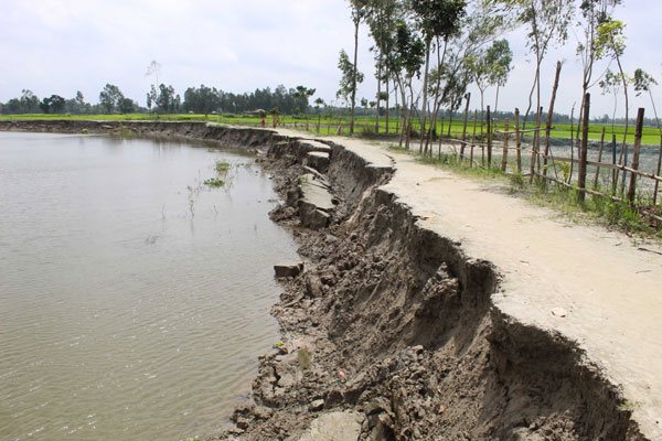বগুড়ায় ভাঙনে বিলীন হওয়ার পথে সড়ক