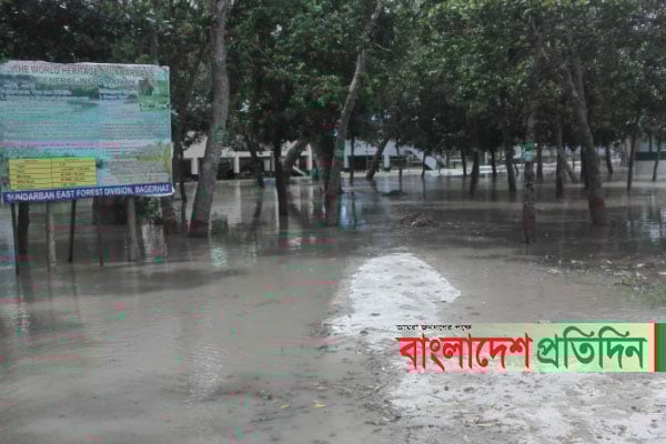 তিন ফুট পানির নিচে করমজল বন্যপ্রাণী প্রজনন কেন্দ্র 