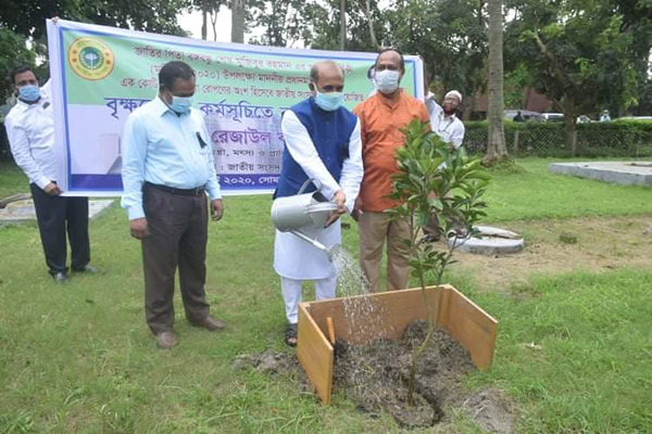 সবুজায়নের বাংলাদেশ বিনির্মাণে কাজ করছে সরকার: শ ম রেজাউল করিম