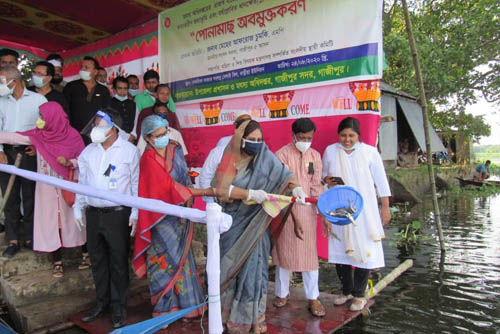 গাজীপুরে জলাশয়ে মাছের পোনা অবমুক্ত