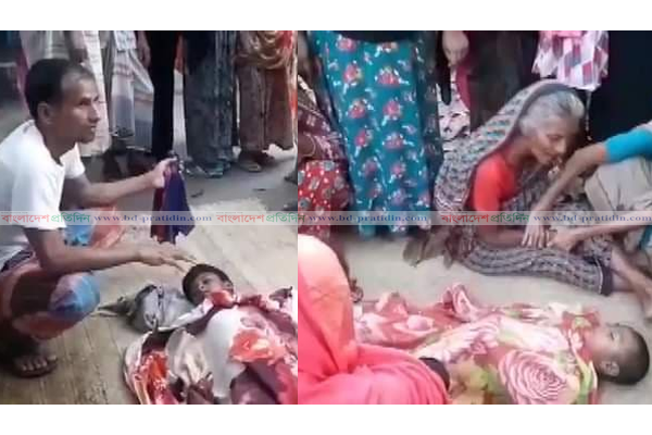 শাপলা তুলতে গিয়ে পানিতে ডুবে দুই শিশুর মৃত্যু