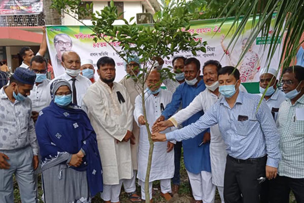 পটুয়াখালী জেলা পরিষদের বৃক্ষ রোপণ শুরু

