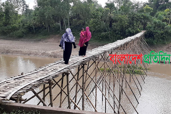 বগুড়ায় দুই উপজেলার ৩ লাখ মানুষের নদ পারাপারে বাঁশের সেতুই ভরসা 