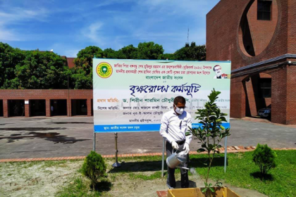 আওয়ামী লীগ বৃক্ষরোপণ করে বিএনপি-জামায়াত বৃক্ষ ধ্বংস করে: এনামুল হক শামীম 