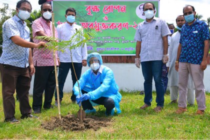 কুয়েট শিক্ষক সমিতির বৃক্ষ রোপণ 
