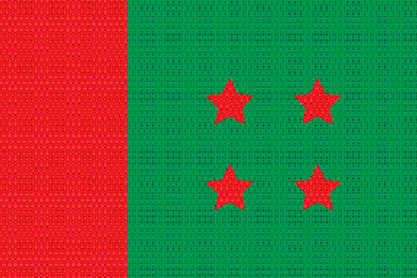 পূর্ণাঙ্গ কমিটি আর কত দূর?