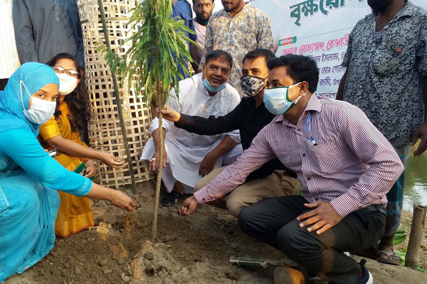 বঙ্গবন্ধুর জন্মশতবার্ষিকী উপলক্ষে কুড়িগ্রামে বৃক্ষরোপণ কর্মসূচির উদ্বোধন