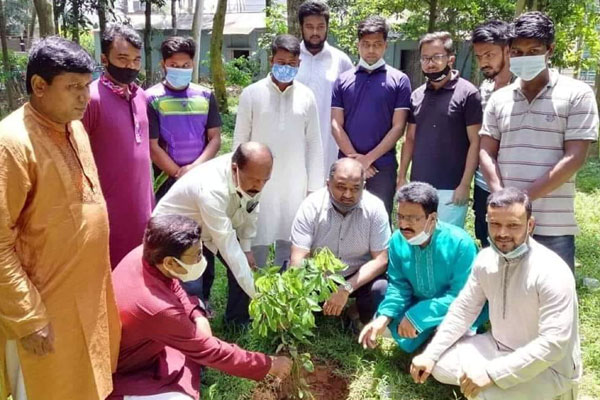 বঙ্গবন্ধুর জন্ম শতবার্ষিকী উপলক্ষে বিরল প্রজাতির কর্পূর বৃক্ষ রোপন