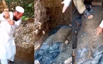 প্রত্নতাত্ত্বিক নিদর্শনও নিরাপদ নয় পাকিস্তানে