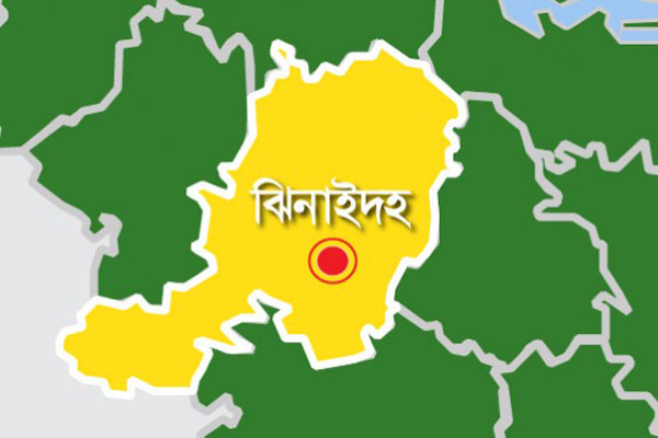 শৈলকূপায় সাপের কামড়ে গর্ভবর্তী নারীর মৃত্যু