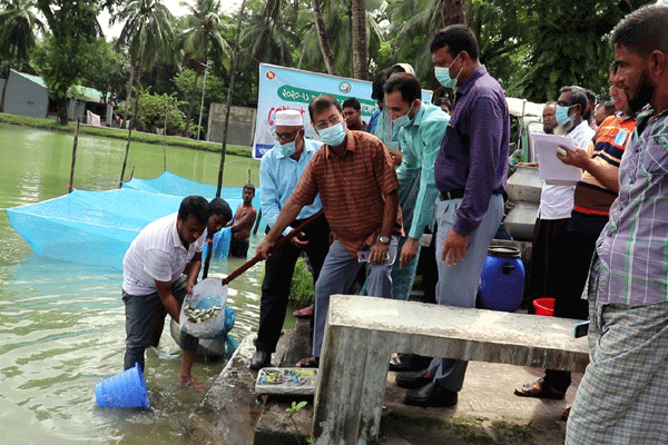 কলাপাড়ায় ৩০ হাজার পোনা মাছ অবমুক্ত
