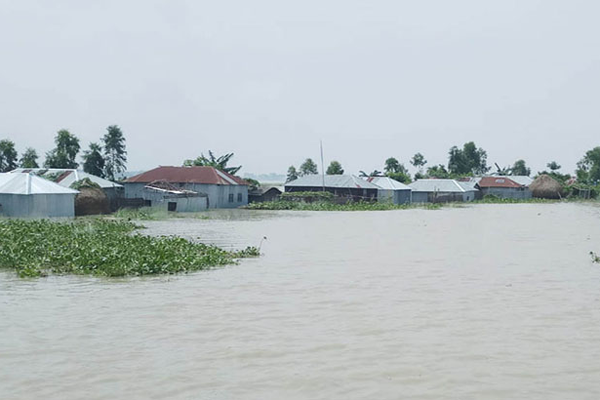 দেশে তিন দফা বন্যায় ২৫১ জনের মৃত্যু