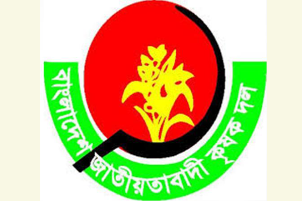 কৃষকদের শীতকালীন সবজি বীজ দেবে কৃষক দল