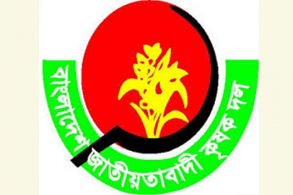 কৃষকদের শীতকালীন সবজি বীজ দেবে কৃষক দল