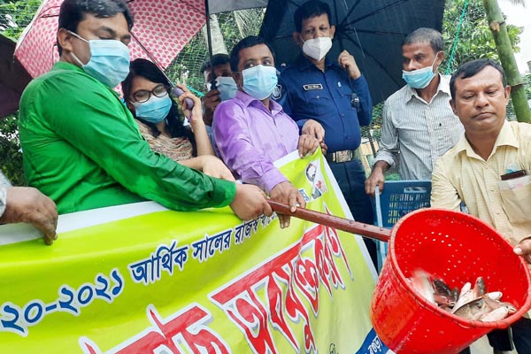 কাহালুতে পুকুরে পোনা মাছ অবমুক্তকরণ